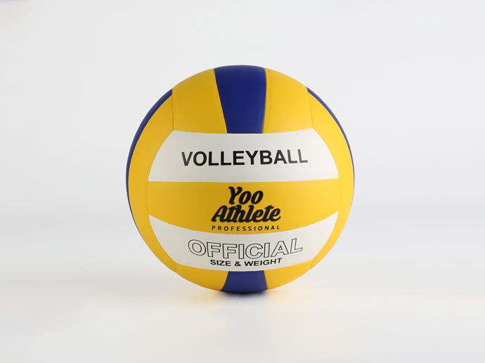 CGS0088 Volleyball