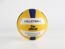 CGS0088 Volleyball