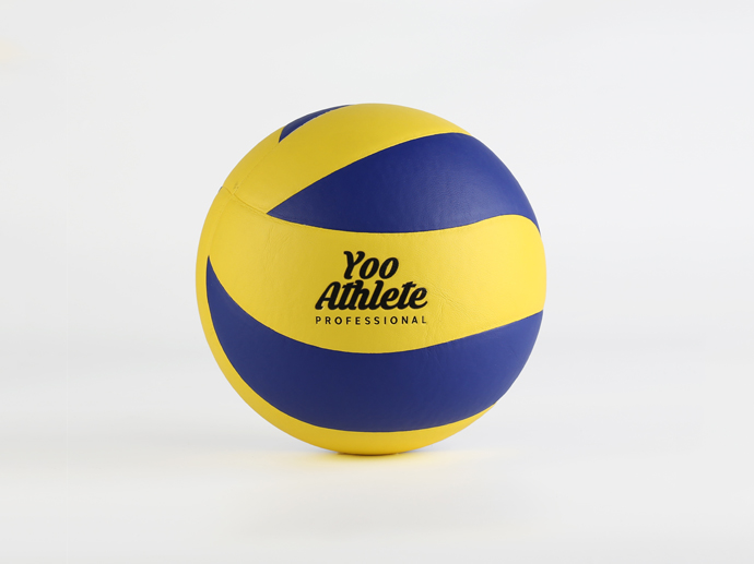 CGS0148 Volleyball