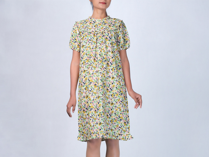 GD23098 Chiffon Dress Lady