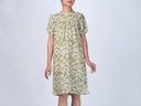 GD23098 Chiffon Dress Lady