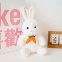 KAC1097 Soft Toy