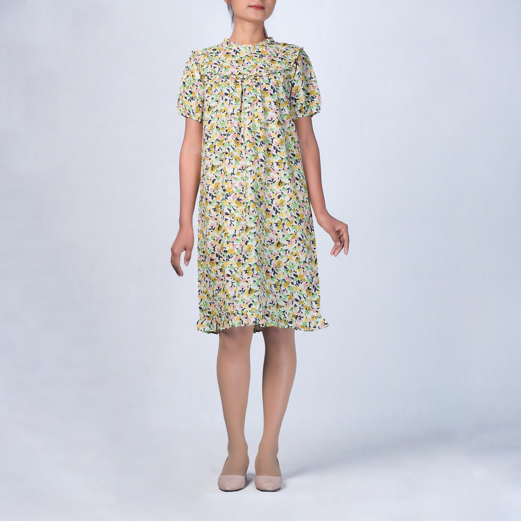 GD23098 Chiffon Dress Lady