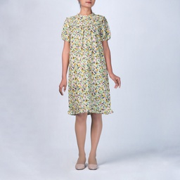 GD23098 Chiffon Dress Lady
