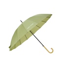 KAC0361 Umbrella