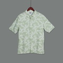 CH23169 Hawaiian Shirt Man