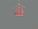 GSU2900 Sport Bra Lady